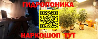 кокаин Кингисепп