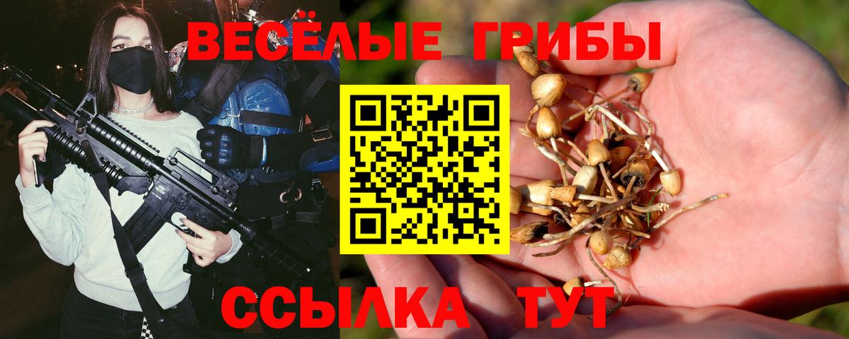 Галлюциногенные грибы мухоморы Качканар