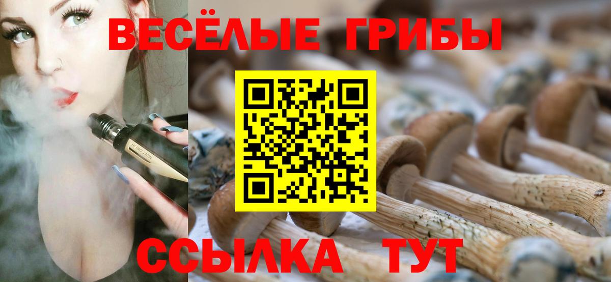 Качканар  Галлюциногенные грибы Cubensis  Вход с VPN 